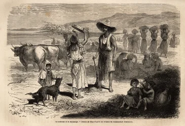 Het werk van oogsten, oogsten en het uitzoeken van tarwe in Djurjura (Algerije)