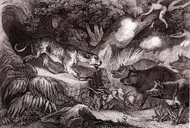 Tijgerjacht in het Amazonewoud (gravure)
