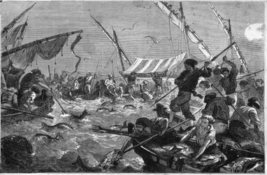 Tonijnvisserij (Pesca al tonno) aan de kust van de Provence.