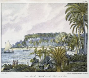 Uitzicht op de Radak-eilanden van de Marshalleilanden archipel