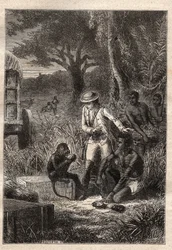 Reis naar de Caffrerie (Zuid-Afrika) (1781) door Francois Levaillant (Le Vaillant) (1753-1824): Levaillant en zijn aap degustateur Maitre Kees, die de vruchten en wortels proeft om te controleren of ze eetbaar zijn - illustratie uit 