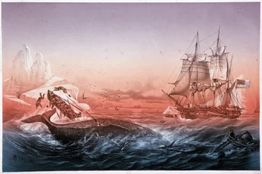 Walvisvaartuig kon zijn omgeslagen boten niet redden
