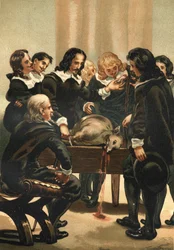 William Harvey (1578-1658) Engelse arts die de bloedsomloop demonstreert in 1628