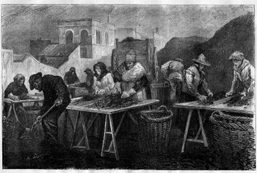 Arbeiders in Frankrijk: Cokesorteerders (variëteit van steenkool afkomstig van de destillatie van steenkool, gebruikt voor verwarming) in een gasfabriek in Parijs. Gravure in 