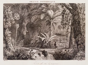 Gravure die de Franse kolonie Guyana in Zuid-Amerika afbeeldt 1850