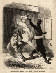 Een Senegalese spahi (ruiter) in Saint-Louis (Saint Louis). Gravure ter illustratie van een cruise langs de kust van Afrika, door Vice-Admiral Fleuriot de Langle, in 1868, gepubliceerd in 