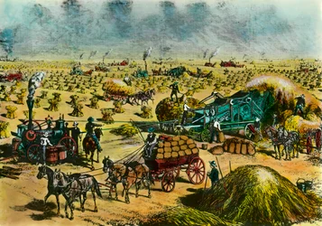 Agrarische revolutie: tarwe oogsten in Dakota met stoommachines in de 19e eeuw