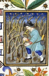 Allegorische voorstelling van maart. Een man die struiken snoeit. Miniatuur van een 14e-eeuws manuscript