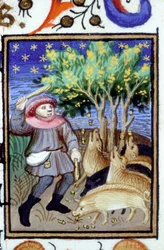 Allegorische voorstelling van november. Een man met een groep varkens die eikels eten. Miniatuur van een 14e-eeuws manuscript.