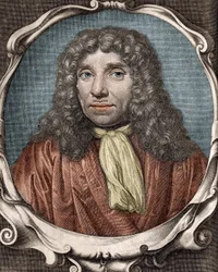 Anthony Van Leeuwenhoek of Anton van Leeuwenhoek, Nederlandse natuuronderzoeker (1632 tot 1723). 18e-eeuwse gravure