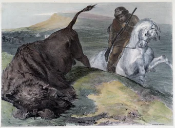 Canadese Huron Buffeljacht - in "Shyth