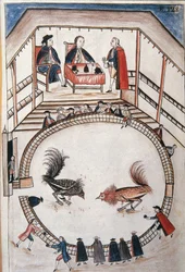 Hanengevecht, een edelman woont het duel bij, uit het boek „Trujillo del Peru” of „Códice Martínez Compañón” van Baltazar Martínez Compañón y Bujanda, bisschop van Trujillo (1782-1785)