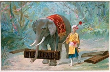 Olifant en Cornac, reclame 