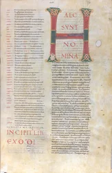 Haec sunt nomina: Initialen uit het Boek Exodus, 11e eeuw (miniatuur, vliezig handschrift)
