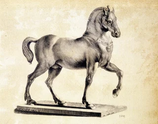 Paard van de Basiliek van San Marco in Venetië - Gravure