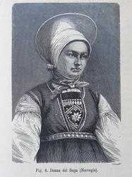Illustratie uit "Het menselijk ras" door Louis Figuier