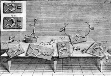 Illustratie van experimenten door Luigi Galvani, Italiaanse natuurkundige en arts (1737 - 1798) die de doorgang van elektrische stroom uitlegt die de poten van een kikker beweegt.