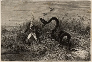 Incident tijdens een eendenjacht in de moerassen van Pointe aux Moustiques of Pointe Macouria (Frans-Guyana), aanval van een boa op de jager op de uitkijk. Gravure ter illustratie van de reis in Frans-Guyana in 1862-1863, door Frederic Bouyer, fregatkapite