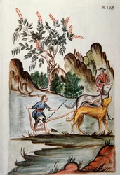Indianen ploegen een veld met honden, uit het boek "Trujillo del Peru" of "Códice Martínez Compañón", door Baltazar Martinez Compañón y Bujanda, bisschop van Trujillo (1782-1785)