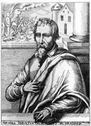 Michel Servet (Michel de Villanueva) (1511-1553), Spaanse arts en theoloog. Gravure