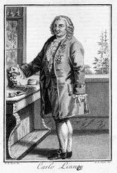 Portret van Carl Von Linné Zweedse natuuronderzoeker en schrijver (1707 - 1778). Gravure uit de 19e eeuw.