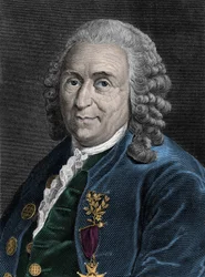 Portret van Charles Linne (Carl von Linne, Linneus 1707-1778), Zweedse natuuronderzoeker. Gravure uit de 19e eeuw