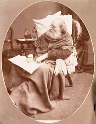 Portret van de Italiaanse patriot en held van het Risorgimento Giuseppe Garibaldi (1807-1882) in Caprera in 1882. Fotografie. Privécollectie