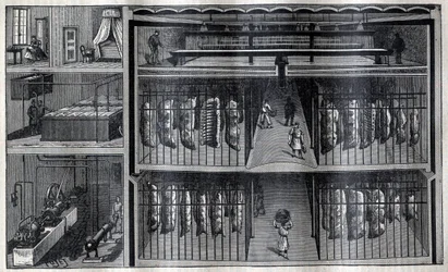 Koelruimtes voor vlees - Gravure uit 