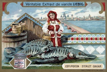 Steur, sterlet, kaviaar, met een jonge vrouw die emmers vasthoudt, voor een Russische stad - Liebig chromolithografie
