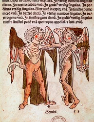 De tweelingenconstellatie (detail) uit 