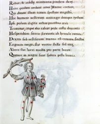 De weergegeven constellatie is die van Boötes, die het haar van Berenice ondersteunt met de linkerhand. Pagina van een 18e-eeuws manuscript gebaseerd op het originele manuscript 
