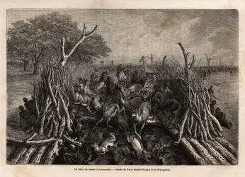 De hopo of jachttechniek in de greppel, die bestaat uit een val van 2 heggen die elkaar naderen in een V, leidend naar een put waar het wild in valt, in zeer grote hoeveelheden, na te zijn geleid door de kreten van de jagers. Gravure ter illustratie