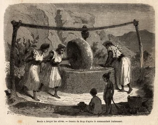 Vrouwenwerk, olijven malen, een van de belangrijkste landbouwproducten in Djurjura (Algerije). Gravure ter illustratie van de excursie naar de grote Kabilie, tussen de Middellandse Zee en de Djurjura, in 1864, door de commandant Duhousset, in 