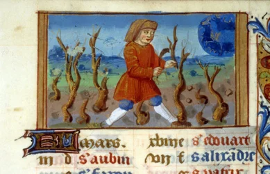 Zodiac Ram en boommaat - Miniatuur uit de Middeleeuwen (ref. 137, 047r) - Vraag toestemming aan de Gemeentelijke Bibliotheek van Toulouse (tel: 05 62 27 66 66)