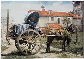 Een voerman die zijn wijn vervoert. Rome, Italië, eind 19e eeuw