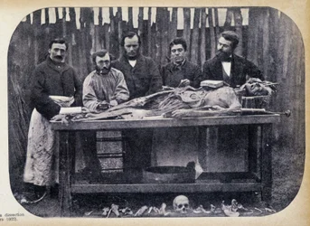 Dissectie, ca. 1865.