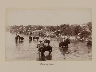 Indiase cavaleristen die hun paarden water geven tijdens het Delhi Kamp van Oefening
