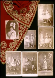 De schone slaapster