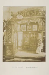 Foto in fotoalbum