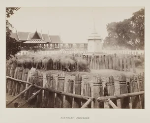 Foto in fotoalbum