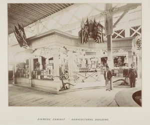 Foto in fotoalbum