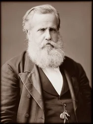 Portret van Dom Pedro II (Peter II) (Dom Pedro de Alcantara) (1825-1891), Keizer van Brazilië