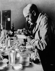 Portret van de Duitse arts Robert Koch (1843-1910) in zijn laboratorium.