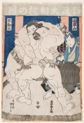 Sumoworstelaars in actie