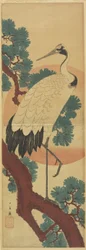 Kraanvogel op Dennentak