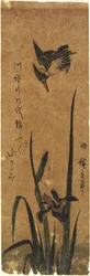 Iris en ijsvogel, 1830-1858