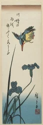 (Iris en ijsvogel), 1843-1847