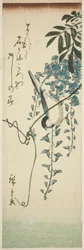 Vogel en wisteria