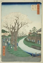 Bloesems op de Tama Rivier Dijk (Tamagawa-zutsumi no hana), uit de serie "Honderd beroemde uitzichten van Edo (Meisho Edo hyakkei)"