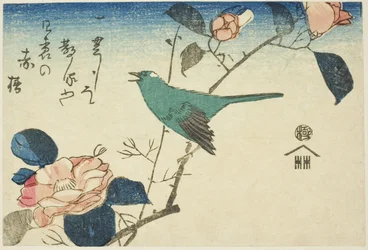 Bush warbler en camelia